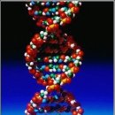 (주)코리아바이오뱅크 이미지