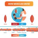 리바이브 PT 이미지
