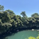 표선안경 이미지