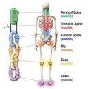 코어&밸런스트레이닝센터 이미지