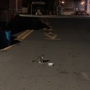 화정보건지소 이미지