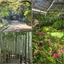 한라 1 | 제주공항 근처 여행지 제주 한라수목원 산책