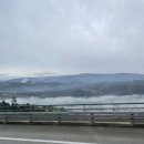 아드레이 | [포르투 3일차] 도우루 와이너리 투어🍷볼량시장