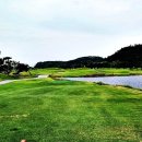 파인비치A 이미지