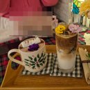 스텔라의 행복정원 | 서울근교 크리스마스카페 인천 트리카페추천로즈스텔라정원 카페 주차 에약 메뉴 사진꿀팁 10주년이벤트