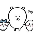 하시루 이미지