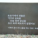 이화주「새 그물을  이미지