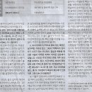 몸사치