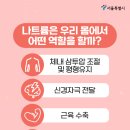 바이오솔트 이미지