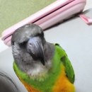 미소동물의료센터 이미지