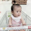 237마트 이미지