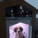 작은복골 이미지