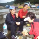 천리포항 이미지