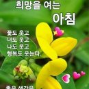 돌쇠 이미지