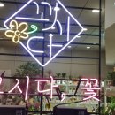 꼬시다;꽃 이미지