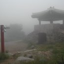 매남농장 이미지