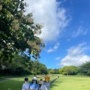 캘러웨이 스크린장 이미지