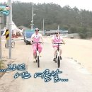 스위트로사
