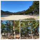 상주한려해상체육공원(천연잔디) | 상주 은모래비치(해수욕장) 주변을 걷고 나서