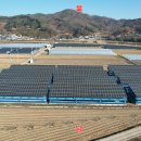 신풍태양광발전소 이미지