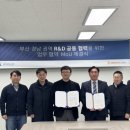 심시스