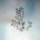 흔적으로의 여행 이미지