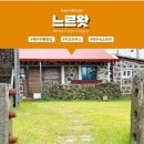 상관 공기마을 편백숲 | 전주 가볼 만한 곳 상관 공기마을 편백나무숲