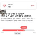 볼츠에스프레소 | (또 미리 쓰는) 5월 돌아보기