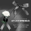 경희대 에이스 태권도 이미지