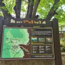 상마숲