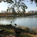 경기도 수원시 장안구 송정로21번길 이미지