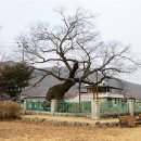 의령 수성리 지석묘군 이미지