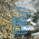 춘설 이미지