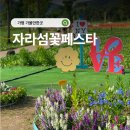 2026 자라섬 꽃 페스타 뒤늦게 올려보는 아기랑 다녀온 후기