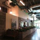 더월(The wall) 이미지