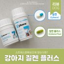 강아지고양이스트레스케어영양제 질켄 플러스 급여 후기