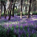 해찬솔길 이미지