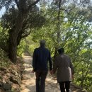 서영카세차장 | 대구 당일치기 | 부모님 모시고 홍합밥 · 막창 · 야경까지 알차게 즐긴 하루