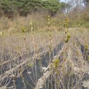 청성농장 이미지