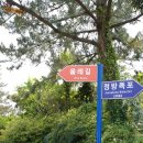 정방폭포 주차장 이미지