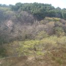 자유3차아파트 이미지