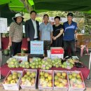 예산(대전방향)휴게소 이미지