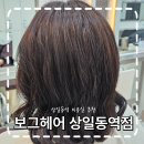 라희 | 상일동 고덕동 보그헤어 상일동역점 애쉬브라운 염색 라희 실장님 후기