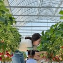 원봉농장 이미지