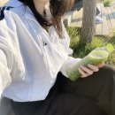 모닝플러스 - 영등포구 여의대방로 65 | 반짝이는 하루의 시작, 흔들어 마시는 캐주얼 말차 이거지! 오설록 말차플러스 콜라겐 후기