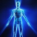 인체의 과학현상-인체는 시간당 116W의 전기를 소모한다? 이미지