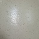 에코글라스