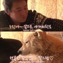 누렁이농장 Daum카페