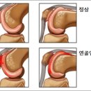 연화랑 이미지