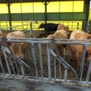 유수농산 이미지